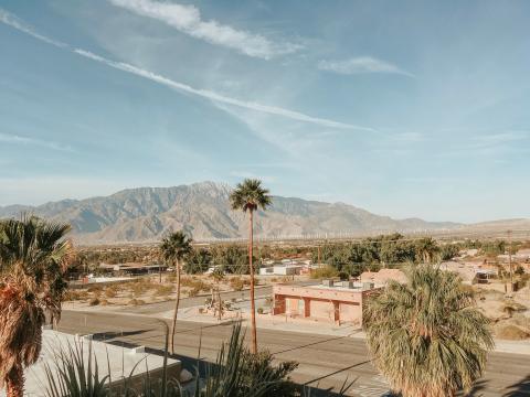 Desert landscape in Palm Springs, California, with palm trees against the mountains