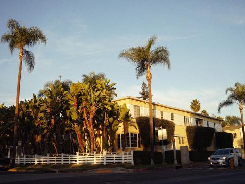 A mid century apartment building in Palm Springs framed by tall palm trees in warm sunlight